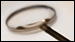 Job Search