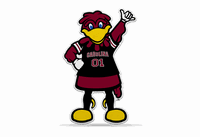 University of South Carolina Logo